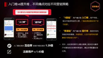 网络服务新纪元 199it互联网数据资讯中心与数据服务的崛起